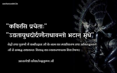वेदों तथा पुराणों में कबीरदास जी के नाम का स्पष्टीकरण तथा अनिरुद्धाचार्य जी से सम्बद्ध राधावन्तः विवाद का व्याकरणपरक विश्लेषण
